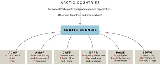 Organization chart