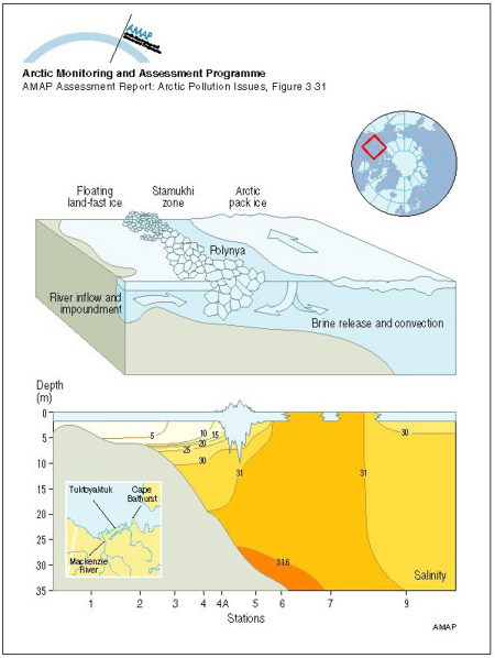 A schematic diagram showing the inflow from the Mackenzie River trapped in the nearshore zone beneath the landfast ice Beyond the stamukhi zone, intermittent opening and refreezing in the flaw lead produces brine which encourages mixing and convection (map/graphic/illustration)