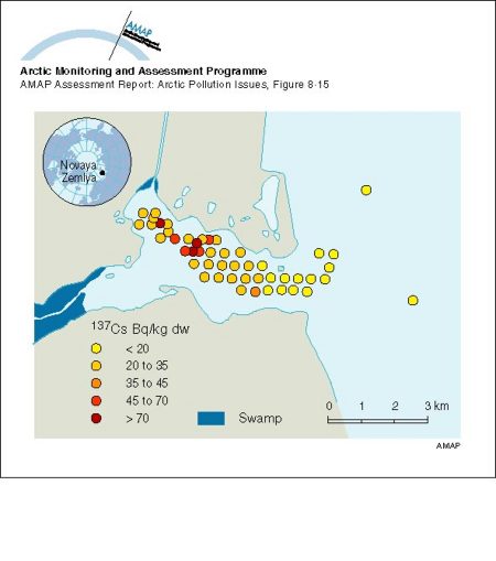 Activity concentrations of 137Cs in sediments of Abrosimov Bay (map/graphic/illustration)