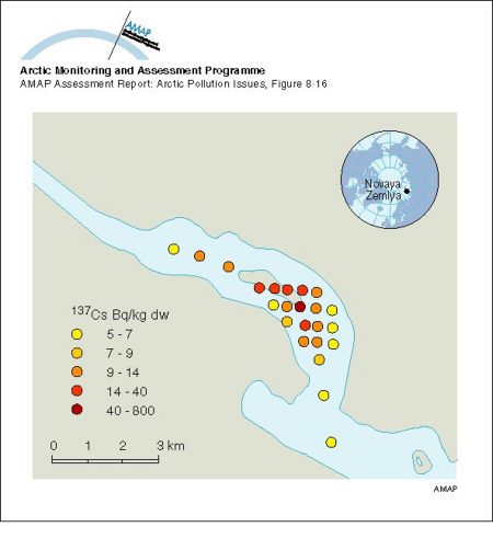 Activity concentrations of 137Cs in sediments of Stepovogo Bay (map/graphic/illustration)