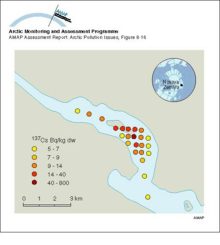 Activity concentrations of 137Cs in sediments of Stepovogo Bay