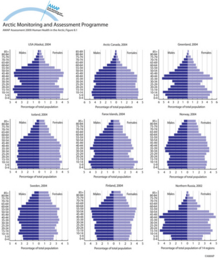 Age-gender population structure of Arctic countries and regions