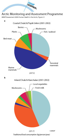 Annual consumption of traditional food in and Kanchalan (map/graphic/illustration)