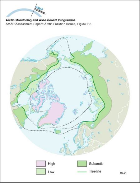 Arctic boundaries (floristic) (map/graphic/illustration)