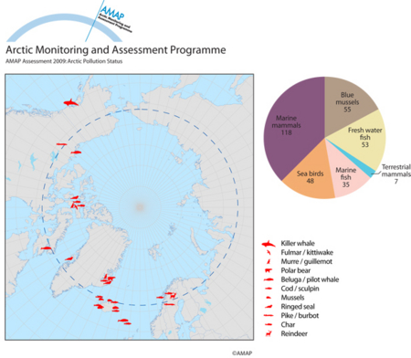 Available time-series of legacy POPs in Arctic biota (map/graphic/illustration)