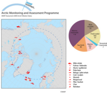 Available time-series of legacy POPs in Arctic biota