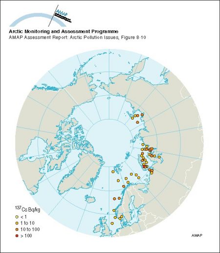 Average 137Cs activity concentrations in surface sediments of some Arctic seas sampled from 1992 to 1995 (map/graphic/illustration)