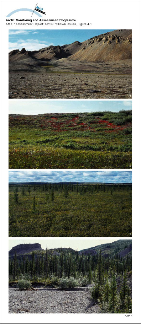 Biogeographical zones within the AMAP assessment area, a) High Arctic, b) Low Arctic, c) subarctic, and d) boreal forest (map/graphic/illustration)