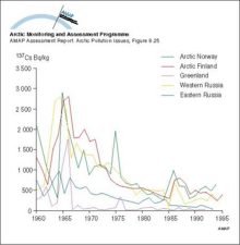 Changes with time in activity concentration of 137Cs in reindeer meat in Arctic Norway, Arctic Finland, Greenland, and Arctic Russia