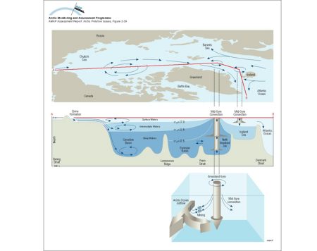 Circulation and water mass structure in the Arctic Ocean and Nordic Seas Mixing processes, such as brine formation, result in denser water that is transported off the shelves and into the deep basin (map/graphic/illustration)