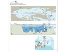 Circulation and water mass structure in the Arctic Ocean and Nordic Seas Mixing processes, such as brine formation, result in denser water that is transported off the shelves and into the deep basin