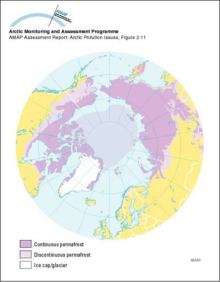 Circumpolar permafrost distribution