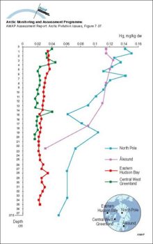 Concentrations of Hg in Arctic marine sediment cores