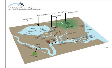 Conceptual model of the terrestrial/freshwater compartment showing the main subcompartments and contaminant transfers, and exchanges with the atmosphere and oceans (map/graphic/illustration)
