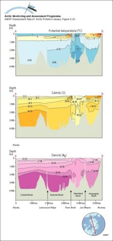 Distribution of potential temperature, salinity, and density across the Arctic Ocean and the Greenland and Norwegian Seas