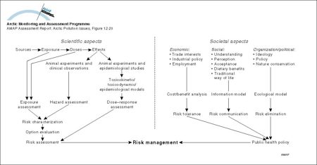 Elements involved in the evaluation and handling of risks from environmental contaminants (map/graphic/illustration)