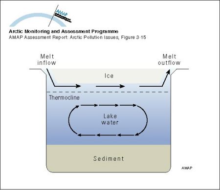 Illustration of the movement of less dense spring freshet water moving through a small Arctic lake underneath the surface ice cover, but not mixing with the water column (map/graphic/illustration)