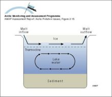 Illustration of the movement of less dense spring freshet water moving through a small Arctic lake underneath the surface ice cover, but not mixing with the water column