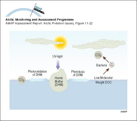 Illustration of the role of UV radiation in the biogeochemical cycling of DOC (map/graphic/illustration)