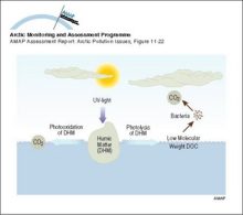 Illustration of the role of UV radiation in the biogeochemical cycling of DOC