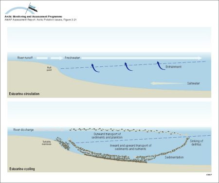 Illustration of water, sediment and nutrient cycling in estuaries Freshwater flows outward, transporting sediments, plankton and also contaminants Material that sinks into the inflowing seawater may be trapped in the estuary (map/graphic/illustration)