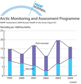 Infant mortality components in Nunavut 1999 – 2004 (map/graphic/illustration)