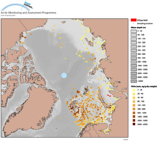 PAH concentration in bottom sediments around the Arctic, 2001-2005