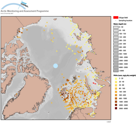 PAH concentration in bottom sediments around the Arctic, 2001-2005 (map/graphic/illustration)