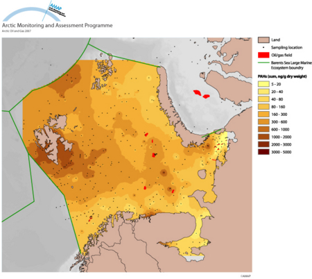 PAH concentration in bottom sediments of the Barents Sea (map/graphic/illustration)