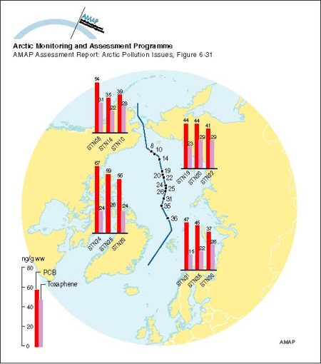 PCB and toxaphene (ng/g ww) in zooplankton from the transpolar cruise of the Arctic Ocean, July-September 1994 (map/graphic/illustration)