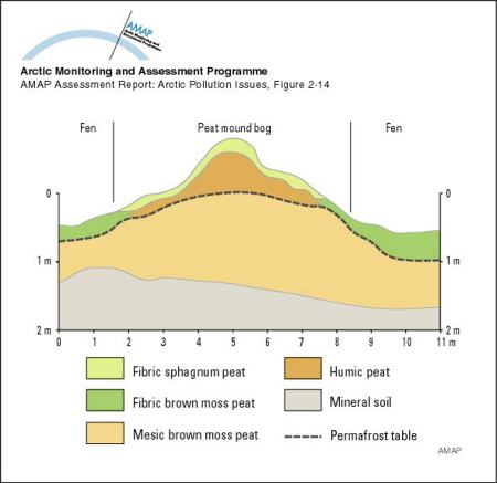 Peat mound bog (map/graphic/illustration)