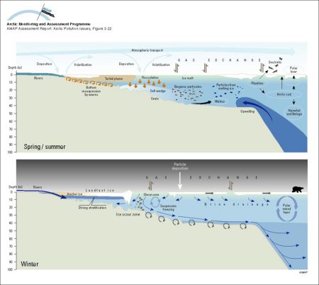 Schematic representation of shelf processes involving transport of contaminants and sea ice (map/graphic/illustration)