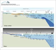 Schematic representation of shelf processes involving transport of contaminants and sea ice