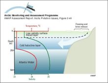 Schematic representation of the temperature and salinity structure of the upper Arctic Ocean and how the halocline layer is maintained by brine-rich water produced on the shelves