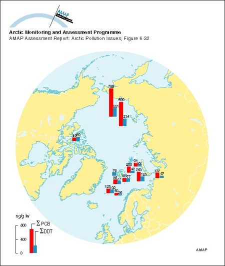 Sum-PCB and sum-DDT (ng/g lw) in Arctic cod liver, 1994-95 (map/graphic/illustration)