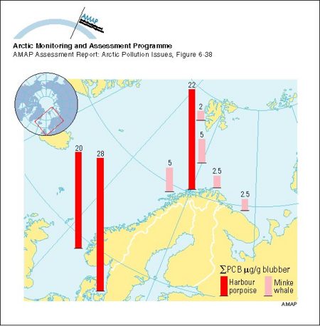 Sum-PCB levels in cetaceans in Norway (map/graphic/illustration)