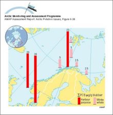 Sum-PCB levels in cetaceans in Norway
