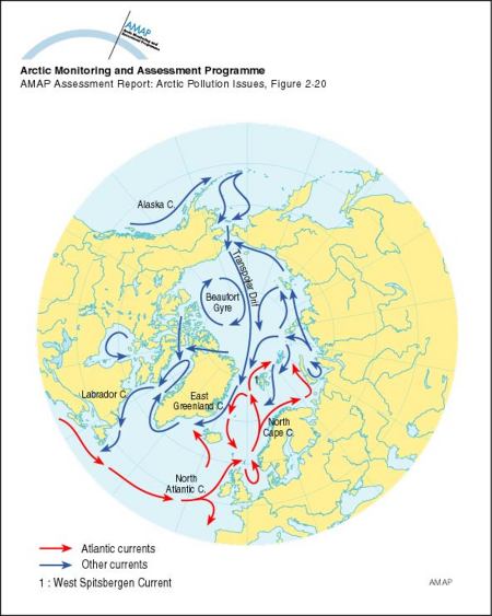 Surface ocean currents in the Arctic (map/graphic/illustration)