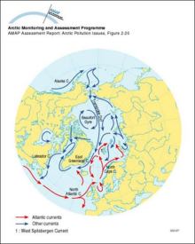 Surface ocean currents in the Arctic