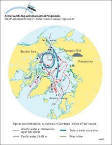 The predominant currents in the Arctic Ocean and their major routes around the basin edges of the Arctic