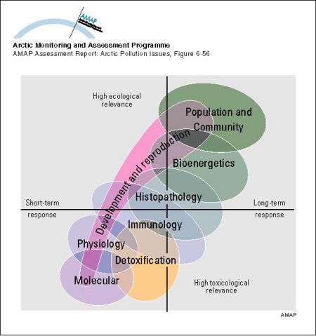 The relationship between response levels of biological organization and the toxicological relevance and time scale of responses (map/graphic/illustration)