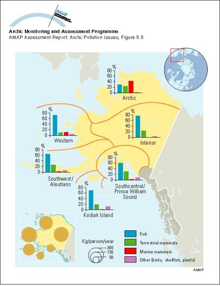 Total and composition of subsistence production for small and mid-sized communities in selected areas of Alaska (map/graphic/illustration)