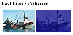 Fact Files: Fisheries