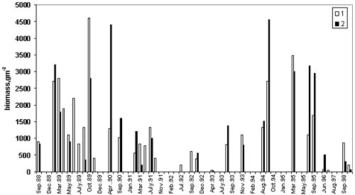mnem_attach4_fig1.jpg (21095 bytes)