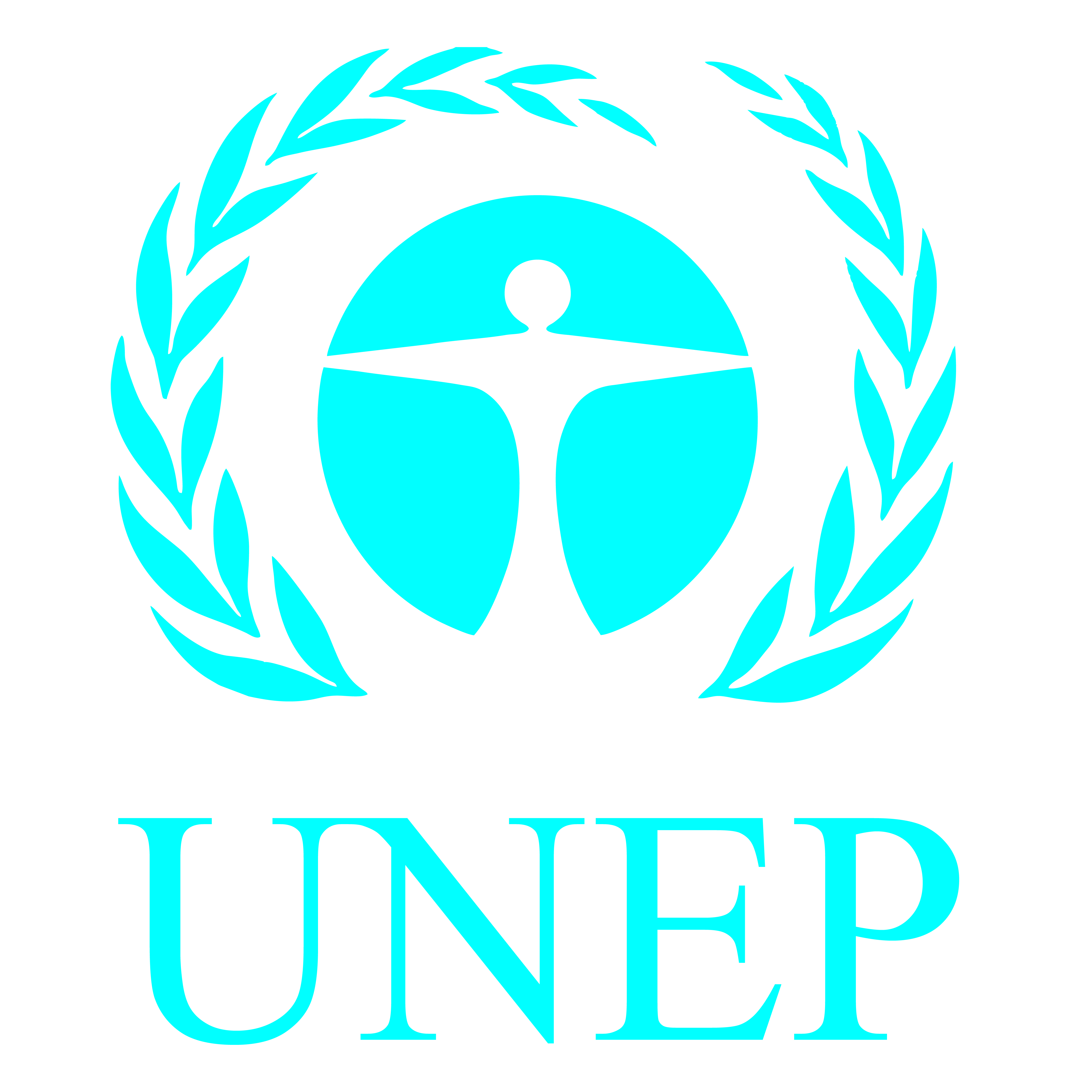 UNEP Strengthened and Upgraded to Implement The Future We Want 