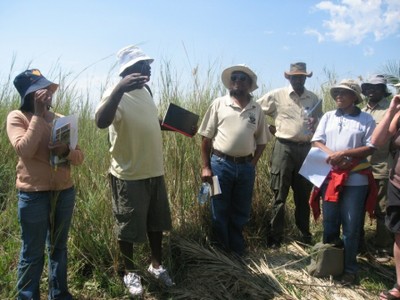 Fieldwork in Okavango Panhandle