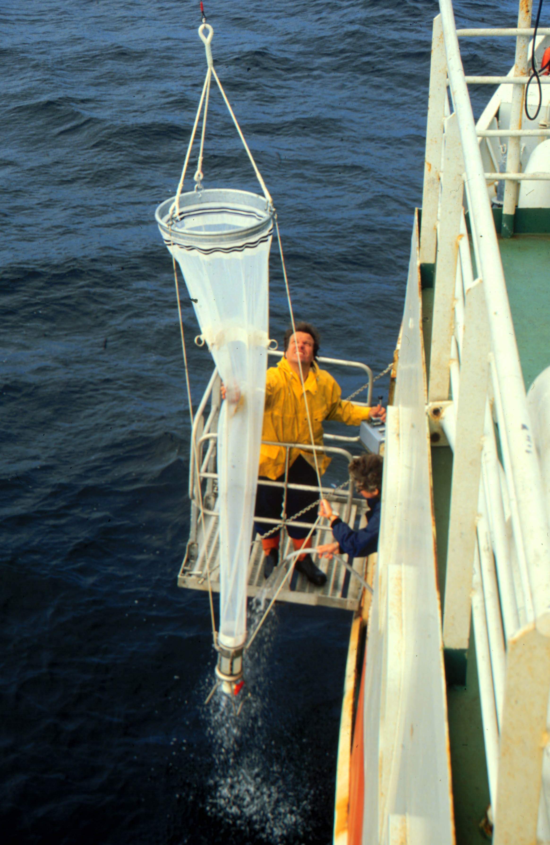 zooplankton sampling.jpg