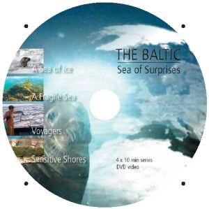Sea_of_surprises_DVD.jpg