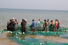 Fishing farming at the coast of Yantai area