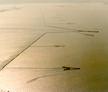Barage fence on Great Lake, Cambodia